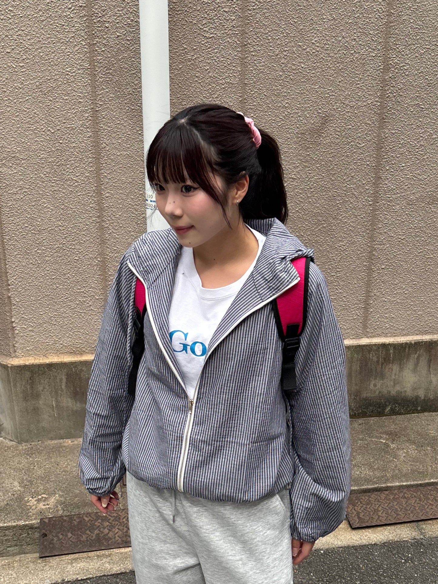 ストライプマウンテンパーカー DPB89081